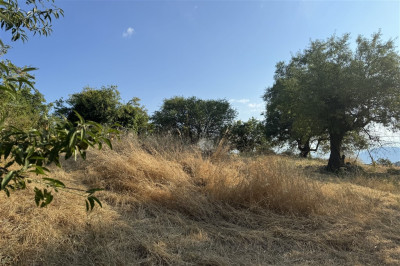 Spanohori Village Edge 01.jpg